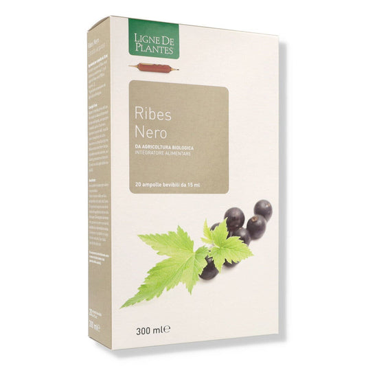 RIBES NERO BIO 20AB 15ML