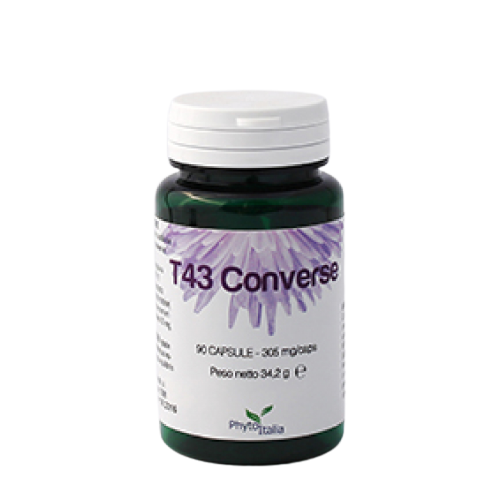 T43 CONVERSE 60 CAPSULE