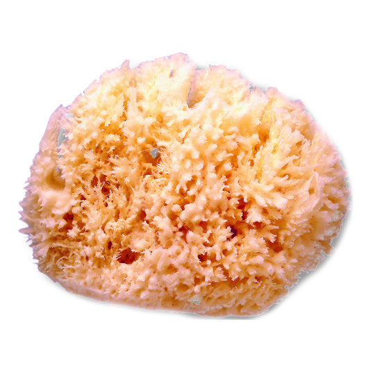 SUAVINEX SPUGNA NATURALE GRAND