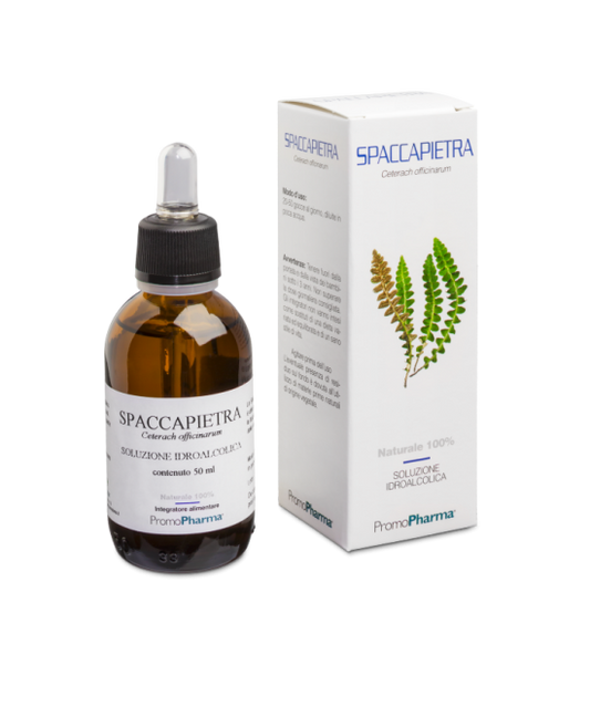 SPACCAPIETRA 50ML