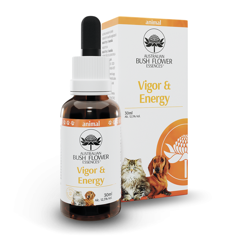 Australian Bush Flower Essences Vigor&Energy 30ml