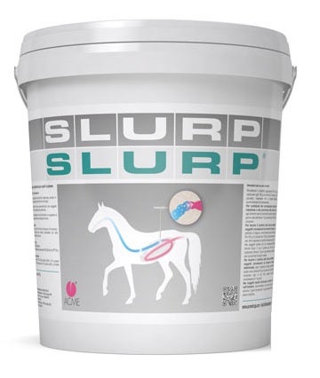 Acme Slurp Polvere Per Equini 10g