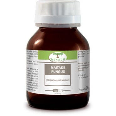 Maitake Fungus 60 Capsule