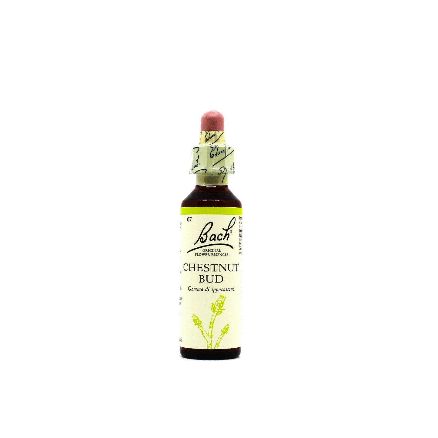 BACH 7 Chestnut Bud 20ml LKR