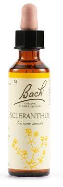 BACH 28 Sclerathus Gtt 20mlLKR
