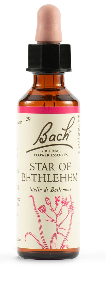 BACH 29 Star Bethl.Gtt 20mlLKR
