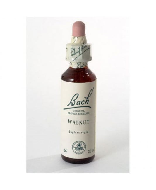 BACH 33 Walnut Gtt 20ml LKR