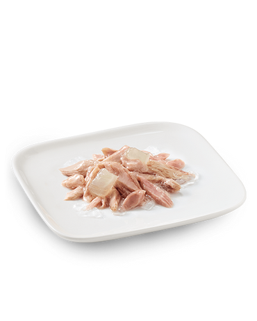 Schesir Tonnetto Con Aloe Cibo Umido Cani Cuccioli Lattina 150 g