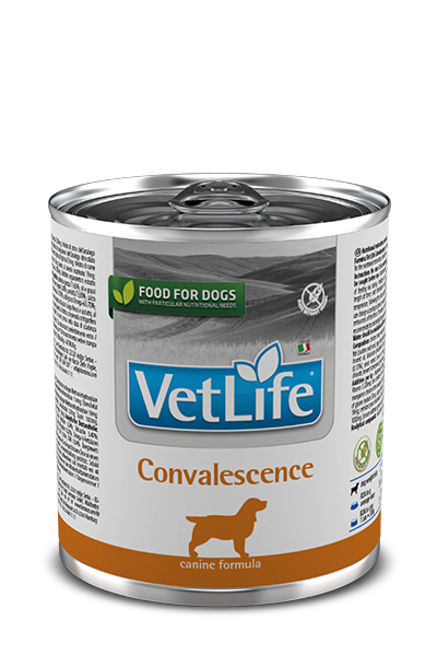 Farmina Vet Life Convalescence Cibo Umido Per Cani Lattina 300g