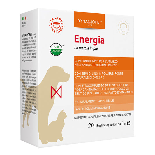 ENERGIA 20BUST 1G