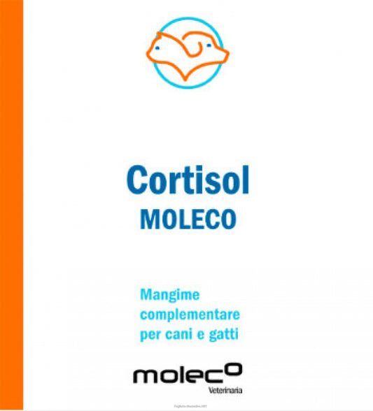 CORTISOL MOLECO 50G