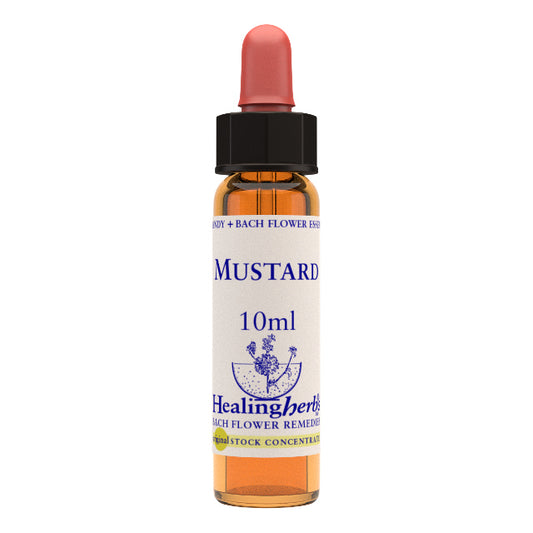 MUSTARD 20ML