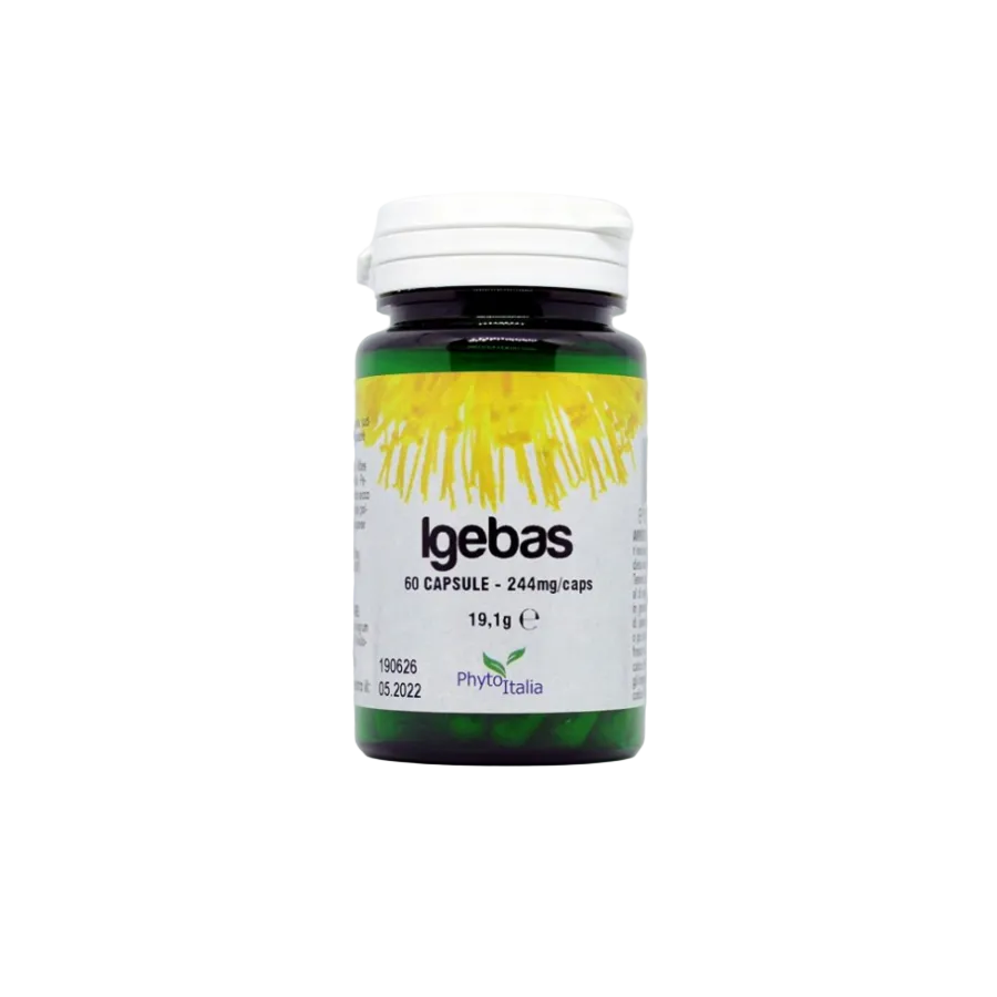 Igebas 60 Capsule