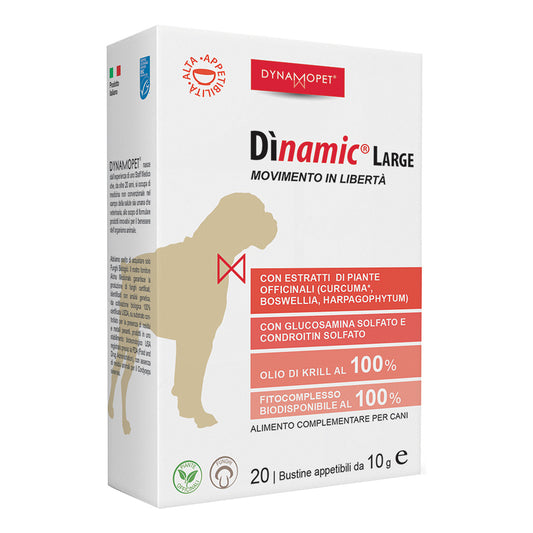 DINAMIC LARGE 20BUST 10G