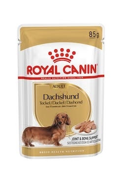 Royal Canin Dachshund Adult Wet Umido Per Bassotti Adulti/Maturi Bustina 85g