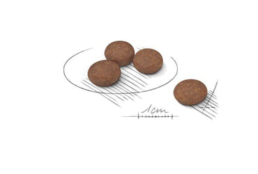 Royal Canin Digestive Care Crocchette Per Cani Mini Sacco 1kg