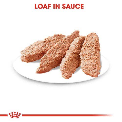 Royal Canin Dermacomfort Pate' Morbido Per Cani Bustina 85g
