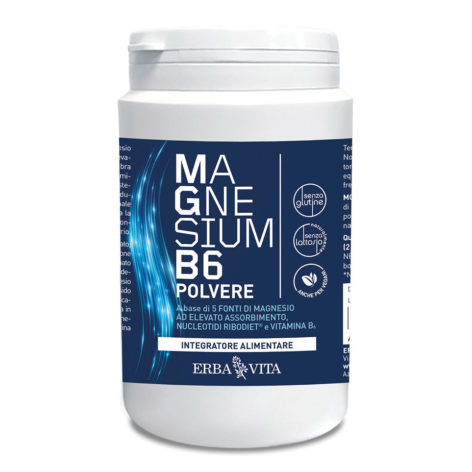 MAGNESIUM B6*Polv.200g EBV