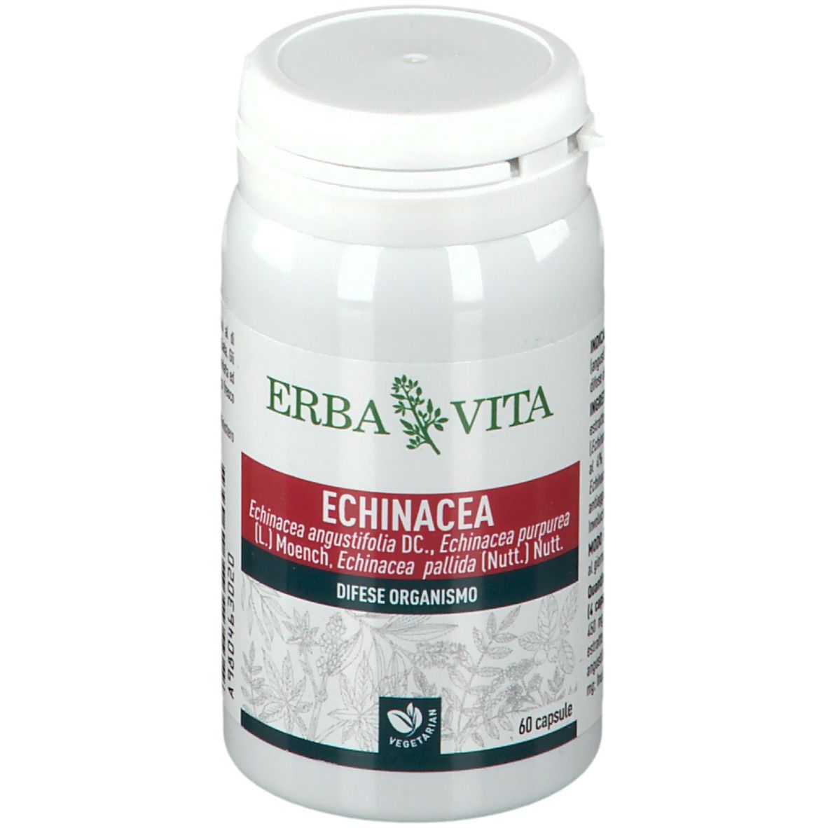 ECHINACEA 60 CAPSULE