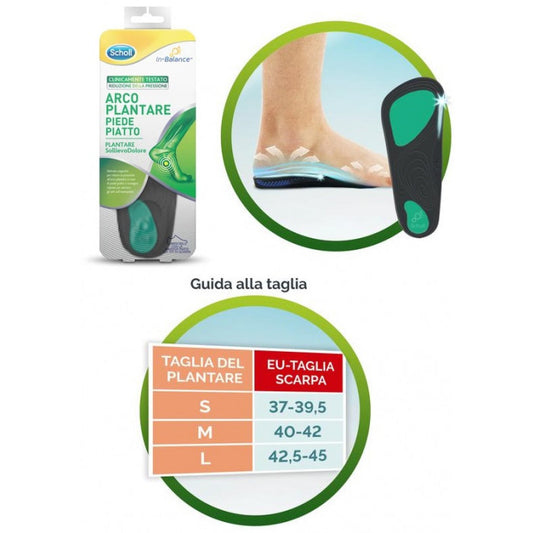 SCHOLL Plantari Arco L 2pz