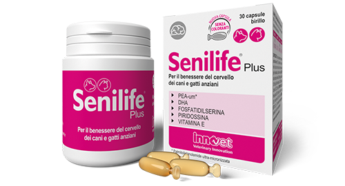 SENILIFE Plus 60 Cps