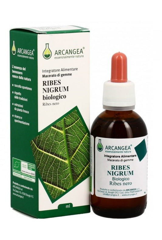 RIBES NIGRUM GD BIO 100 ML