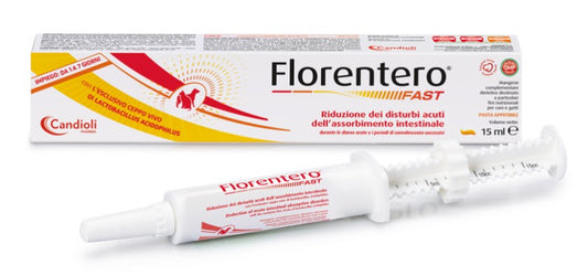 FLORENTERO FAST SIRINGA 15ML