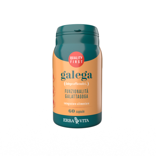 GALEGA 60 CAPSULE