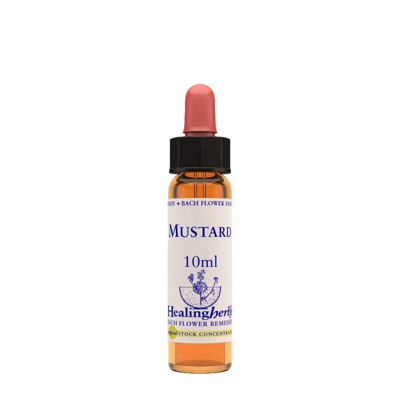 MUSTARD ESSENZA 10ML NATUR