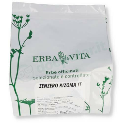 ZENZERO RIZOMA TT STV 100G