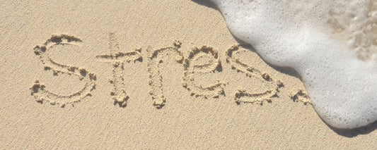 LE VACANZE SONO TERAPEUTICHE? COME AFFRONTARLE AL MEGLIO