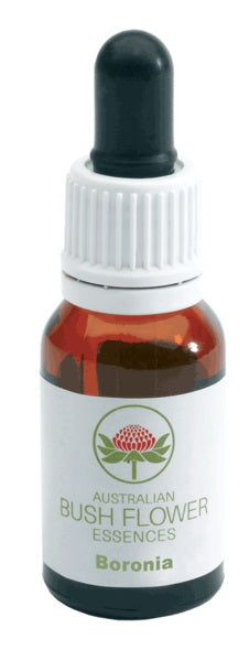 BORONIA AUSTRALIAN 15ML GTT
