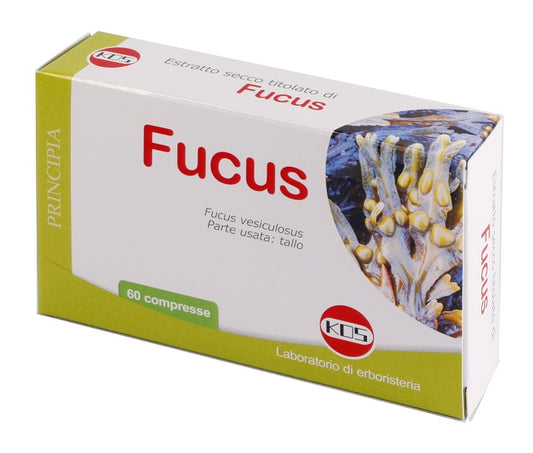 FUCUS ESTR SEC 60CPR