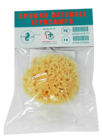SPUGNA IPPOCAMP 11 FARVISAN