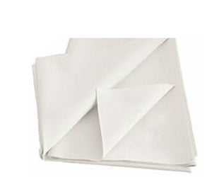 FARMABED Telo Impermeabile S/O 90x150