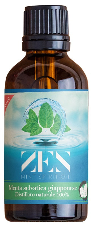 ZEN MINT SPIRIT OIL MENTA100ML