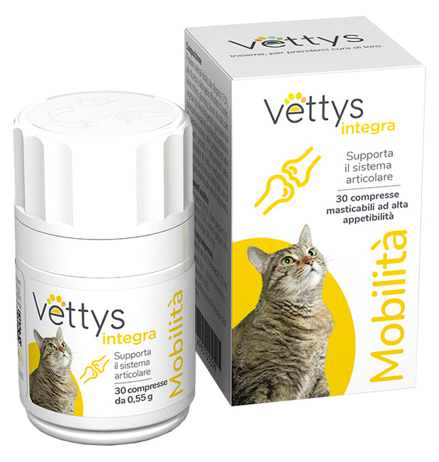 VETTYS Integra Mobilita'Gatto