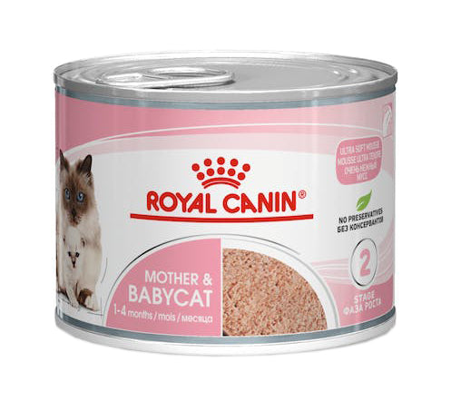 FELINE HN BABYCAT INSTI 10 195