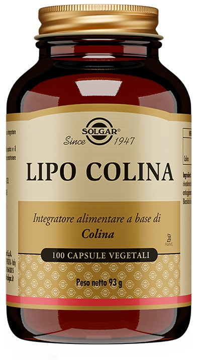 LIPO COLINA 100 Cps 100mgSOLGA