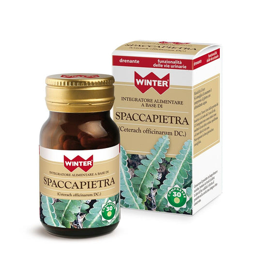 SPACCAPIETRA 30CPR WINTER