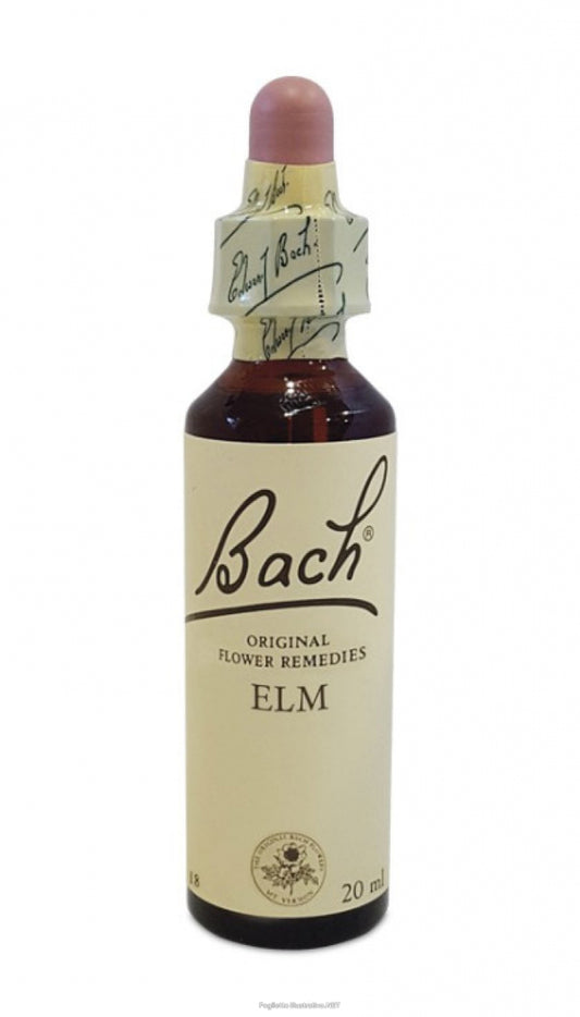BACH CENTER ESS ELM 20ML