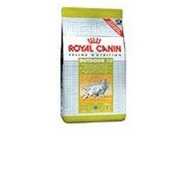 Royal Canin Active Life Outdoor Alimento Secco Per Gatti Adulti 400g