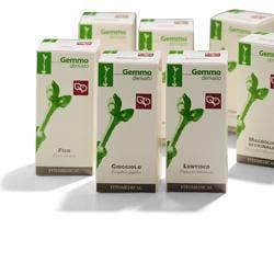 Fitomedical Carpino Macerato Glicerico 200ml