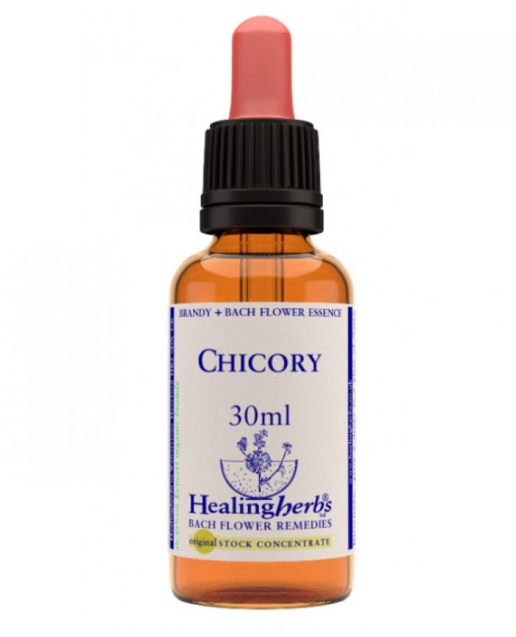 CHICORY ESSENZA 30ML