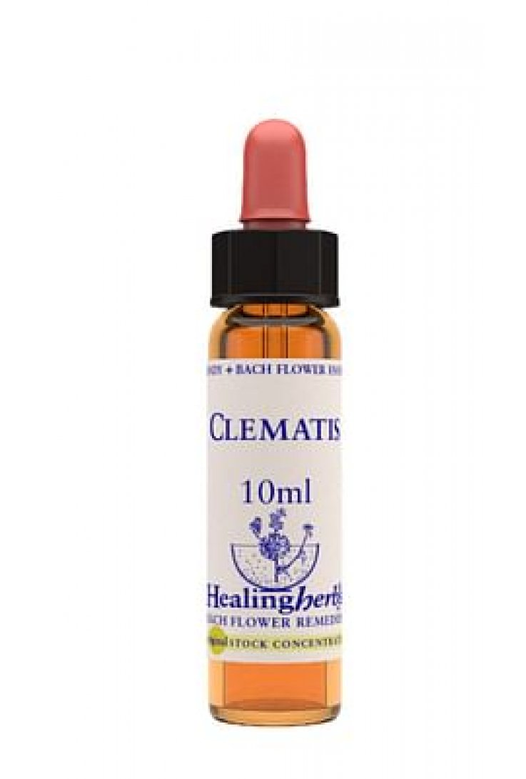 CLEMATIS ESS 10ML INGL HERBS