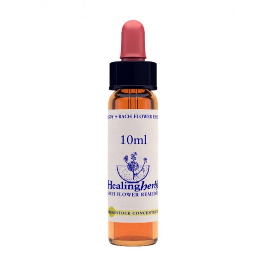 Rock Water Essence 10ml