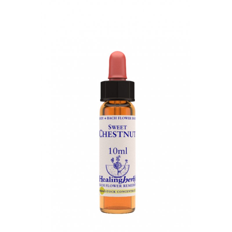 SWEET CHEST ESSENZA 10ML