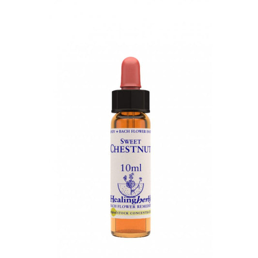 SWEET CHEST ESSENZA 10ML