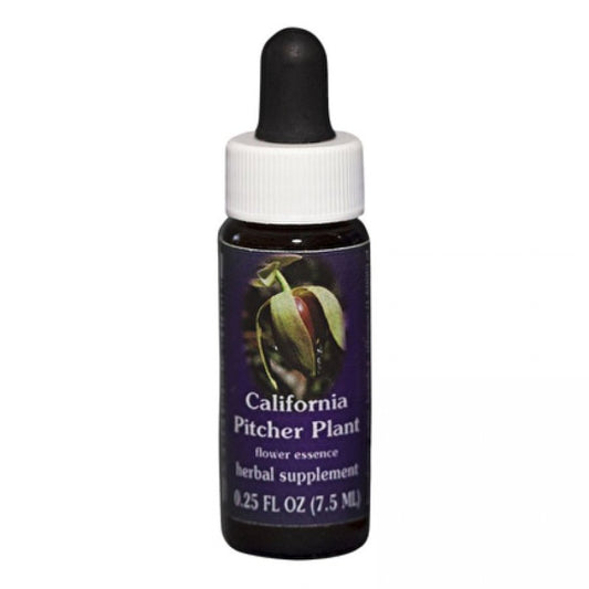 California Pitcher Essence 7,5ml