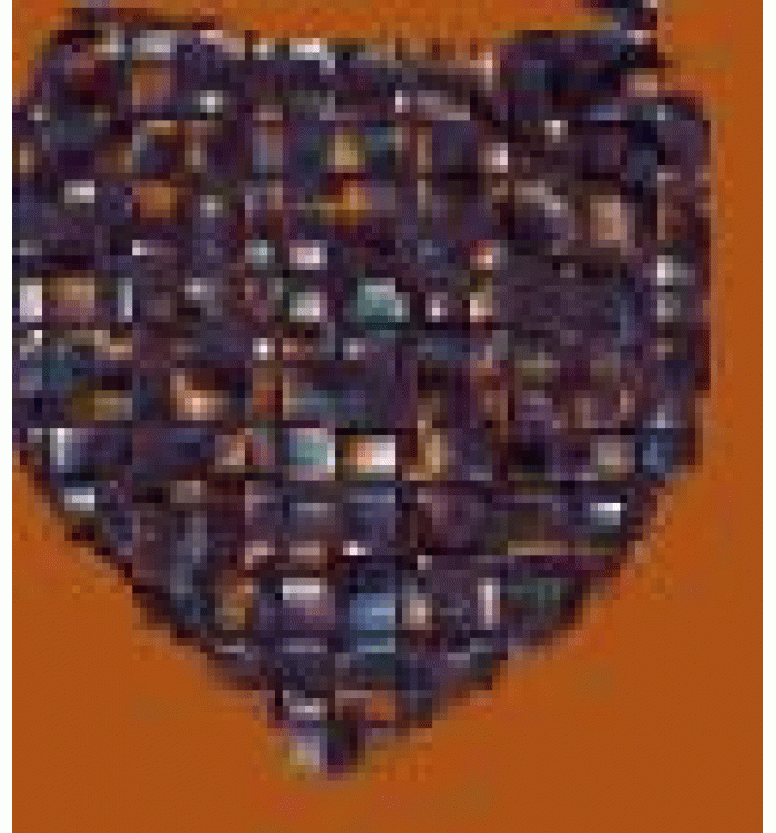 FOULARD C/PROT FFV 1